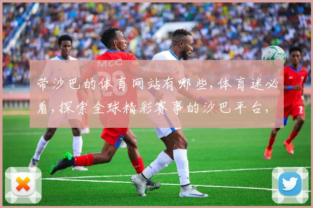 带沙巴的体育网站有哪些,体育迷必看,探索全球精彩赛事的沙巴平台,一网打尽