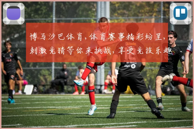博马沙巴体育,体育赛事精彩纷呈,刺激竞猜等你来挑战,享受竞技乐趣