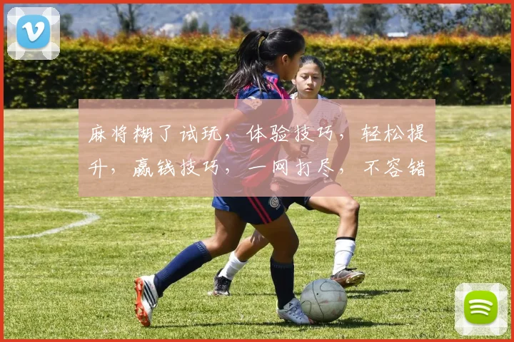 麻将糊了试玩，体验技巧，轻松提升，赢钱技巧，一网打尽，不容错过